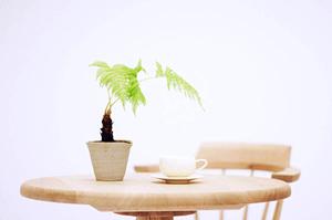 造園工事で地域最安値を目指す会社