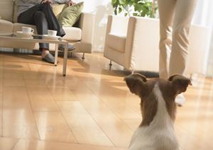 窓シャッターの悩みは大阪の武藤建設