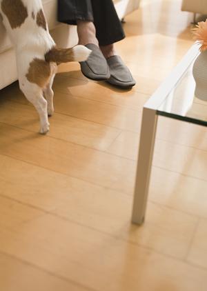 神戸市のリノベーション会社で夢を叶える