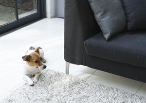 マンションのドアを新しくする方法とは？ポイントを解説